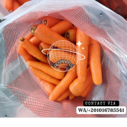 fresh carrot  2