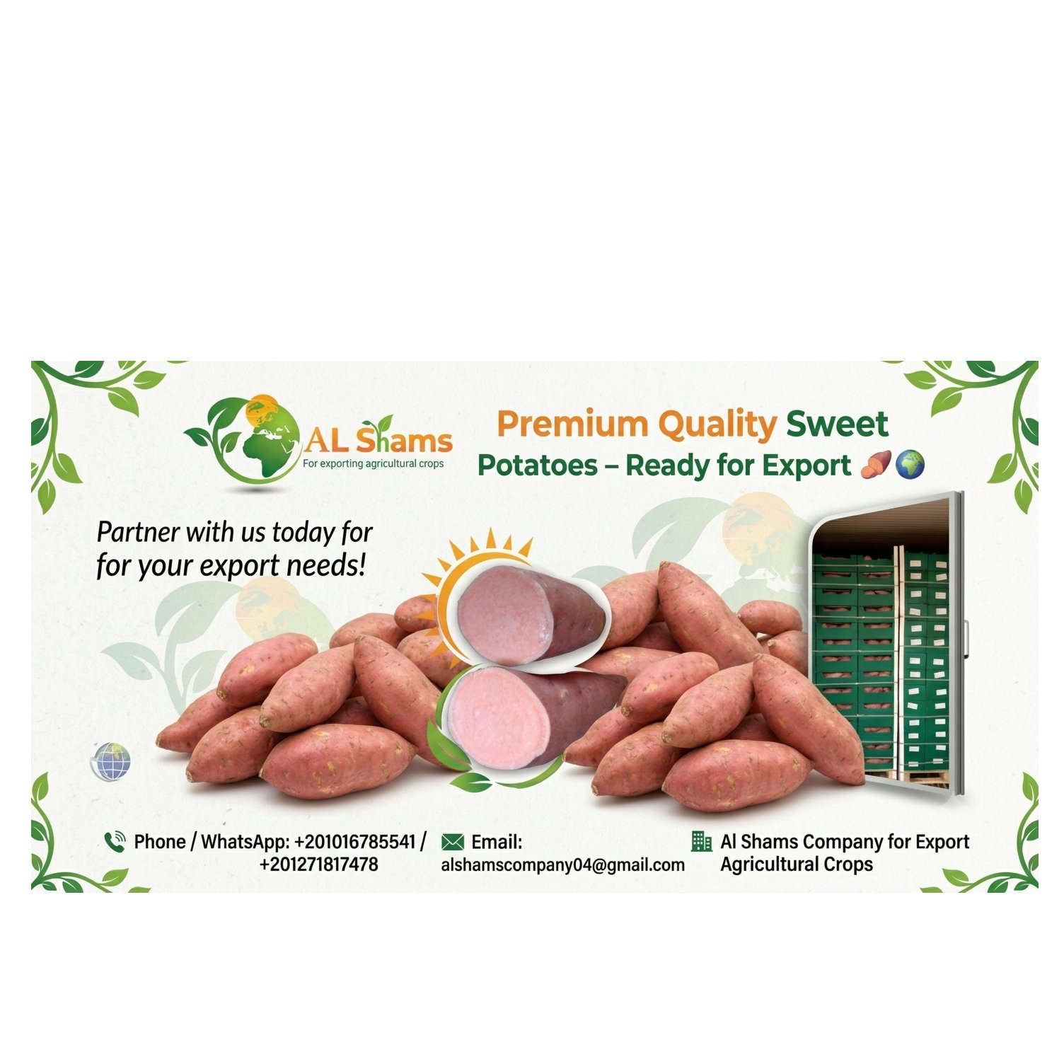 Egyptian Sweet Potatoes 1
