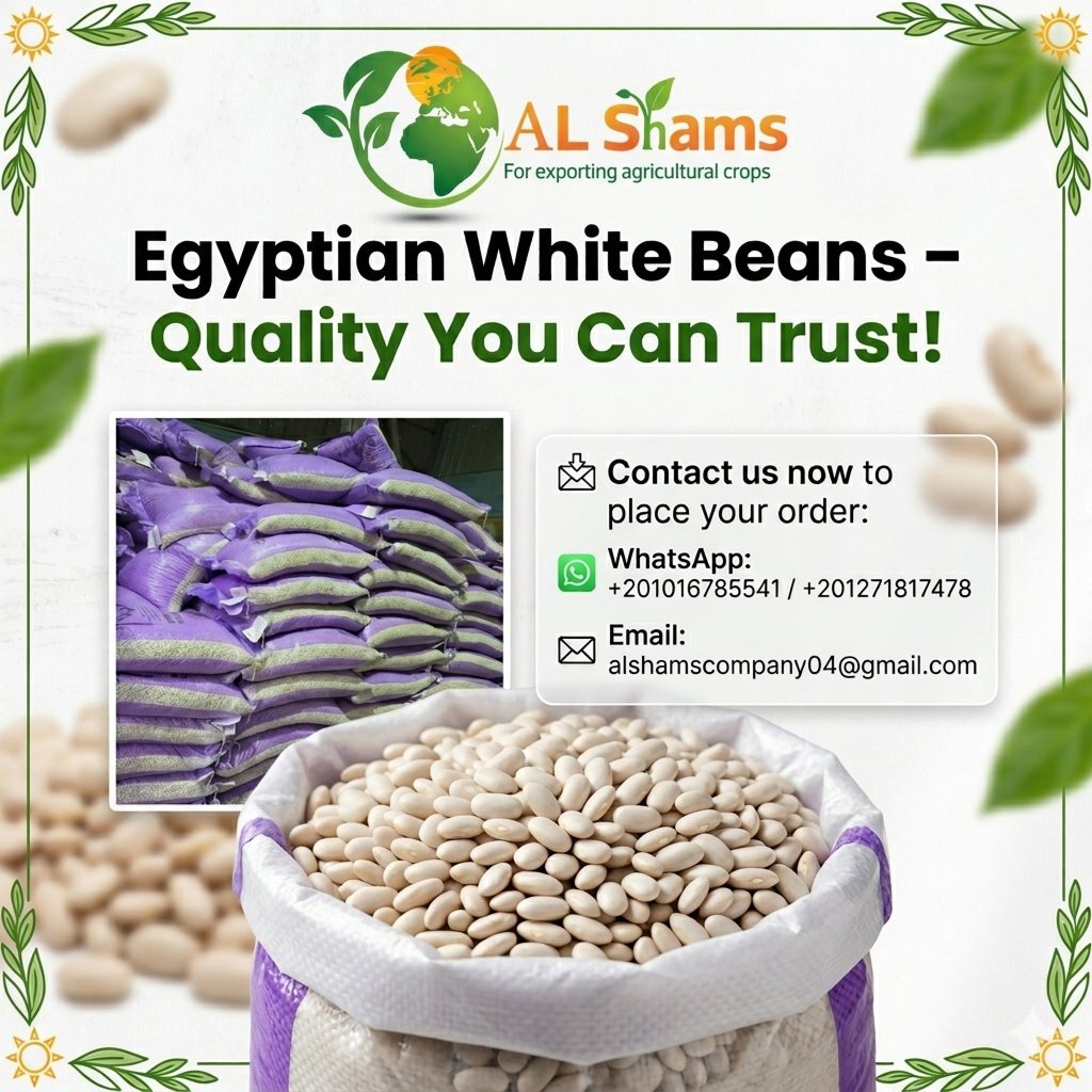 white beans 1