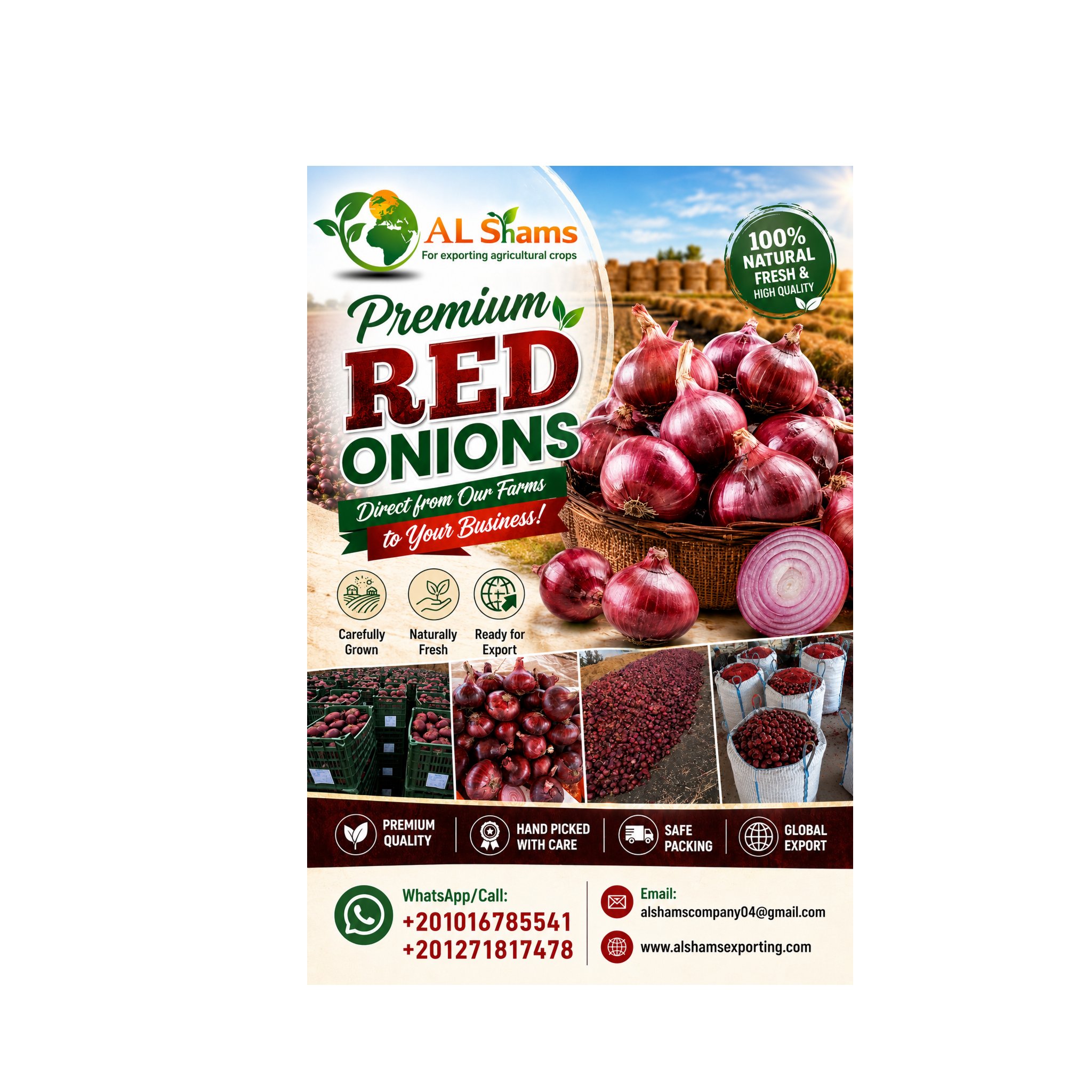 Fresh red onion 1