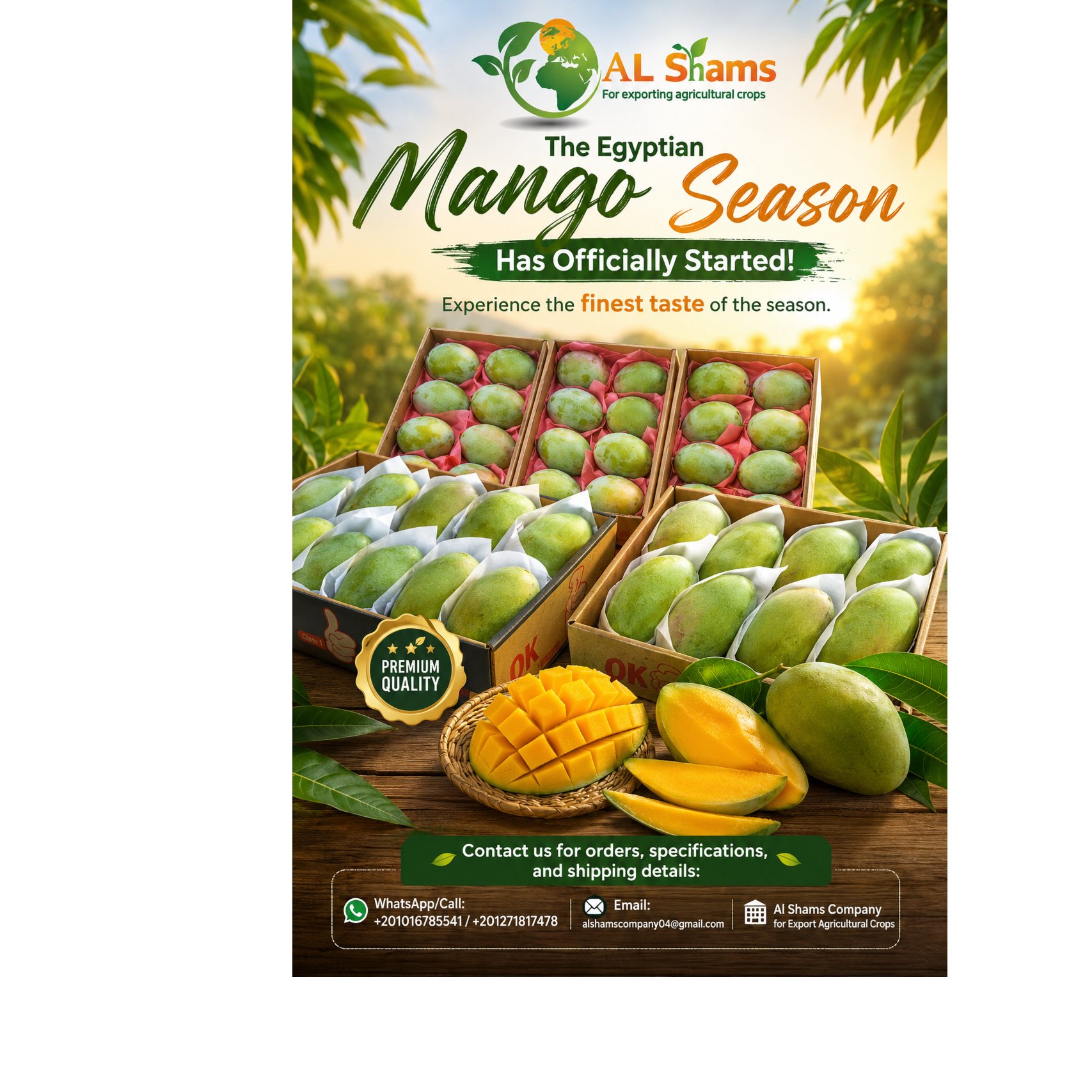 Egyptian Mango