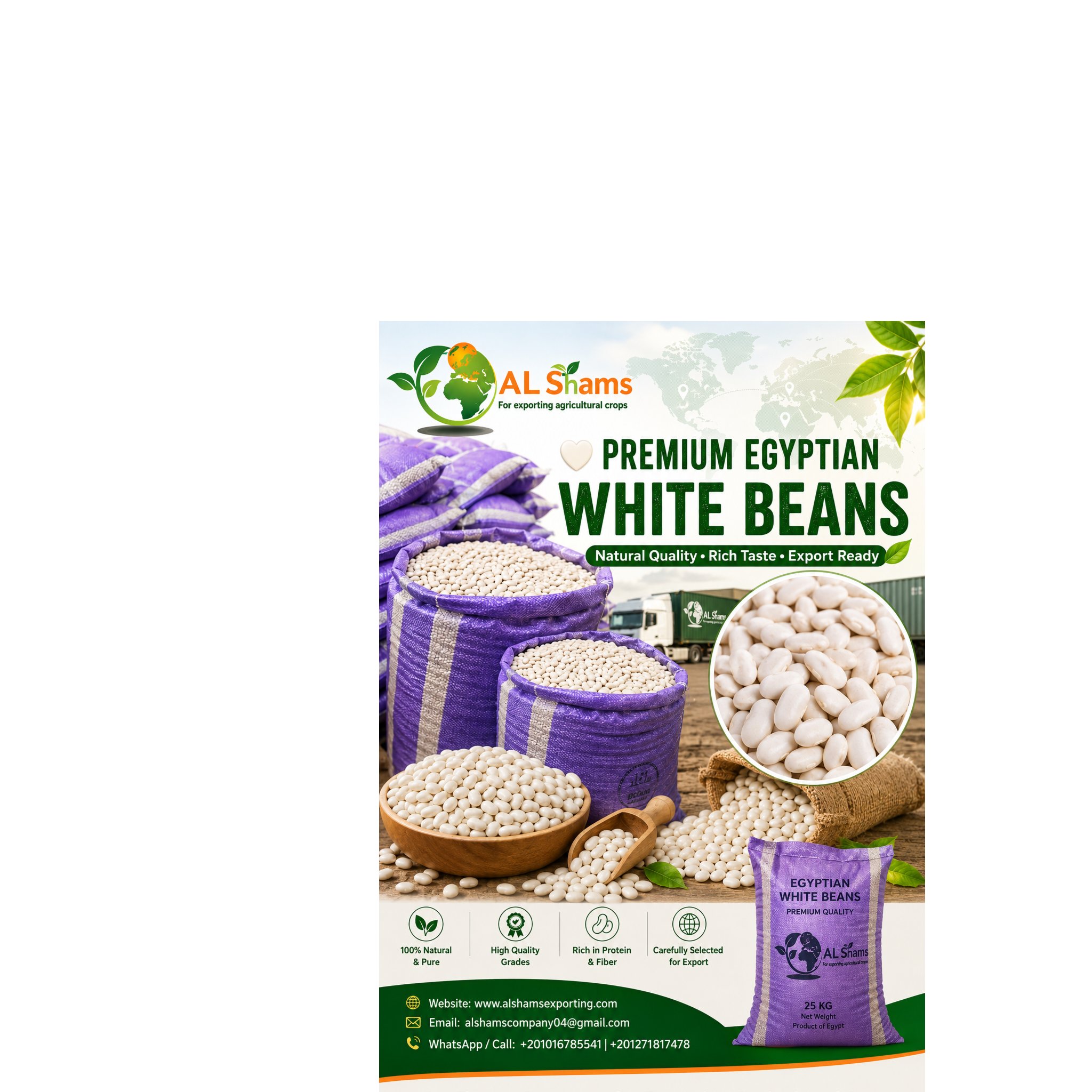 white beans 1