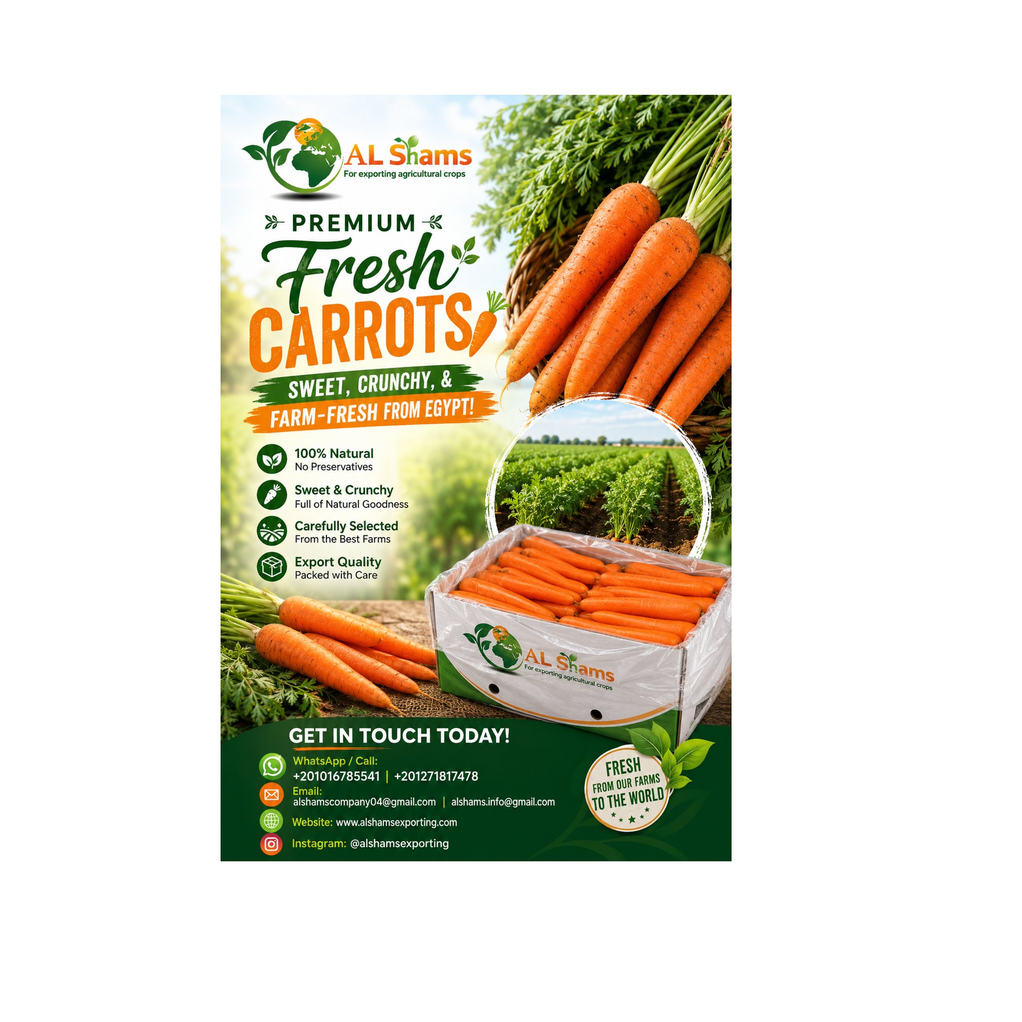fresh carrot  1