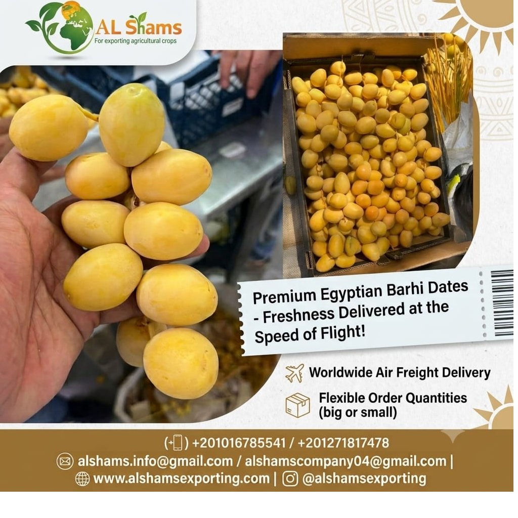 Barhi dates 1