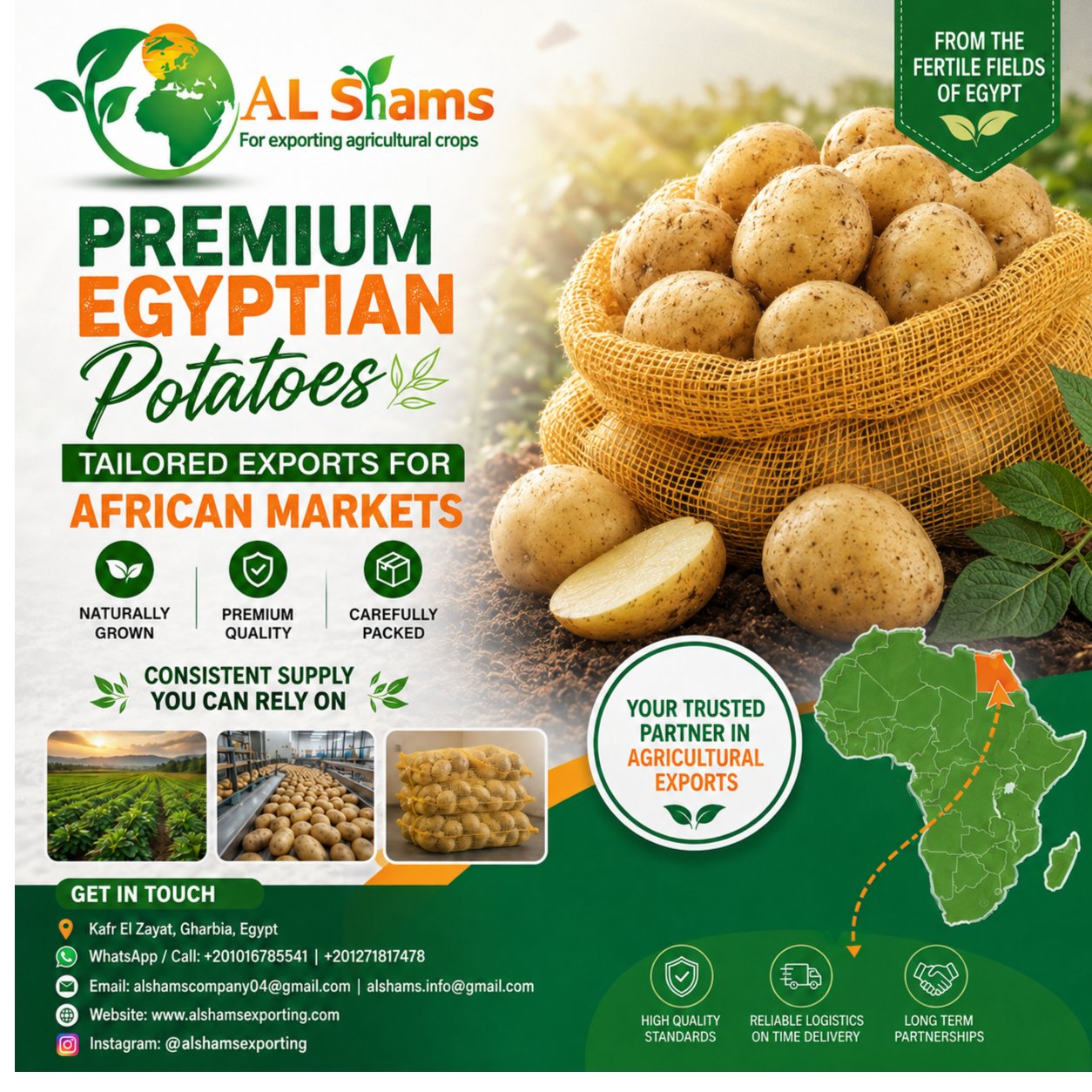 fresh potatoes  1