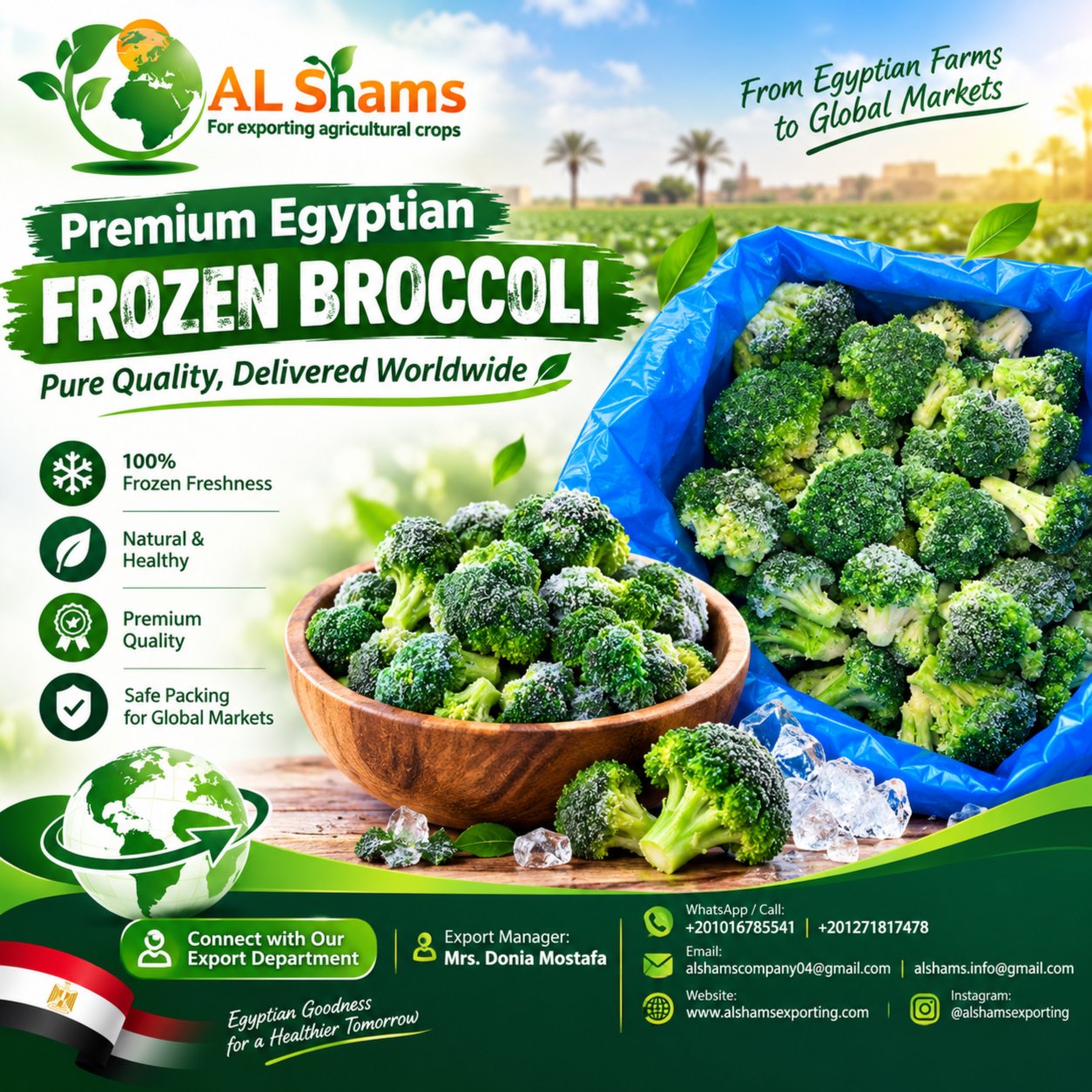 Frozen Broccoli 1