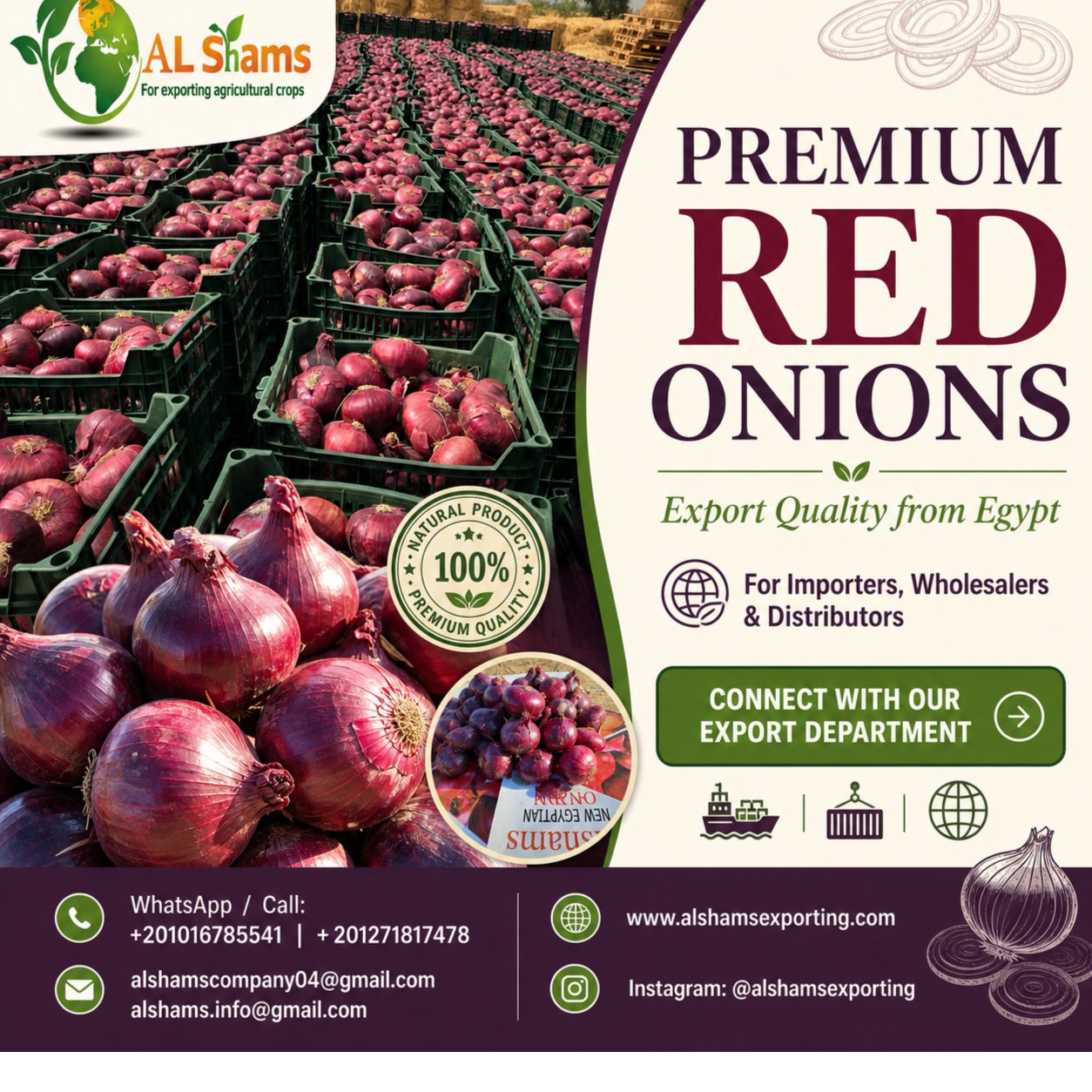 Fresh red onion 1