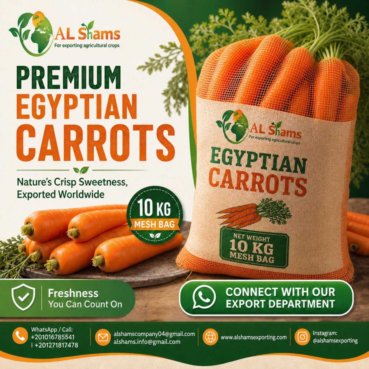 Egyptian Fresh carrot