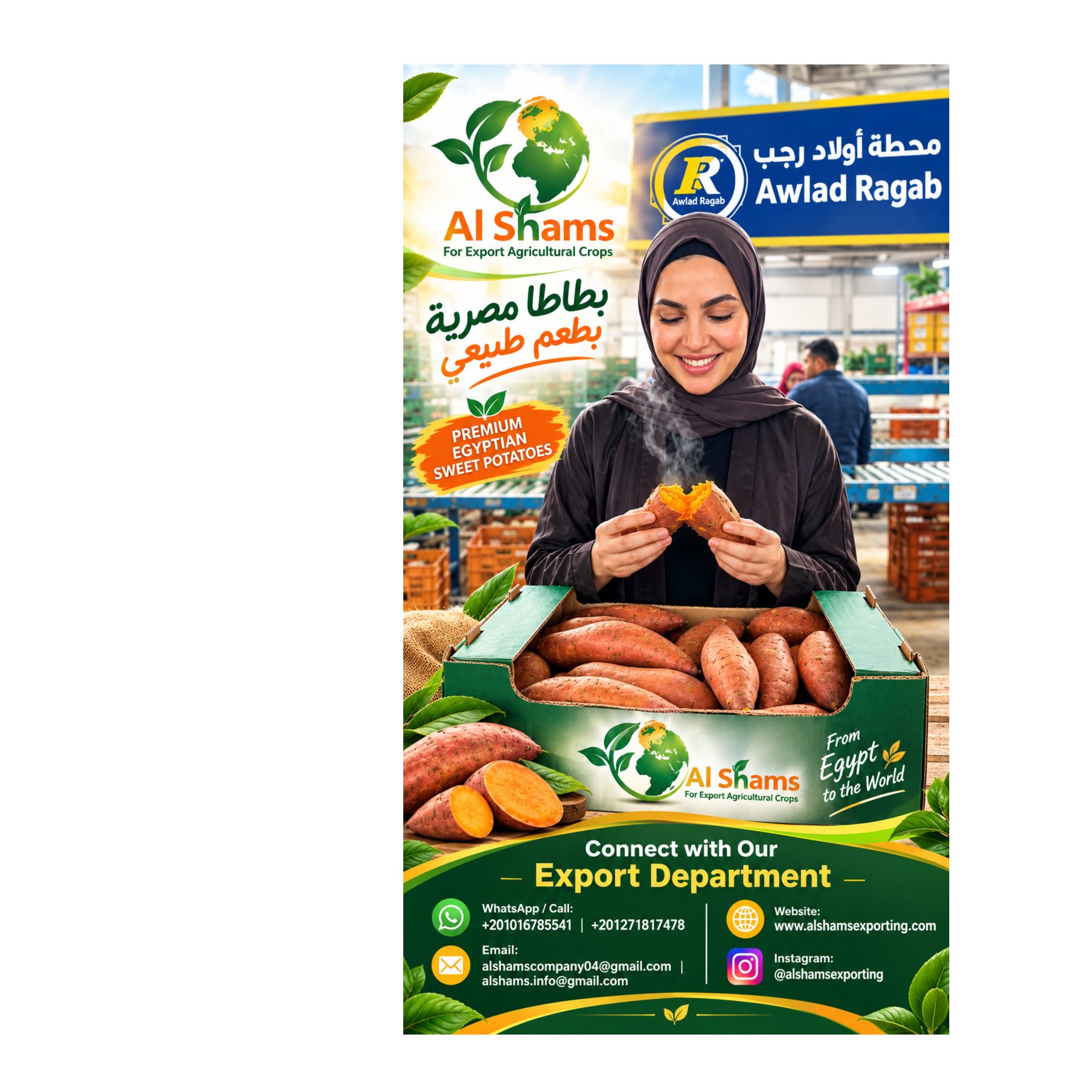 Egyptian Sweet Potatoes 1