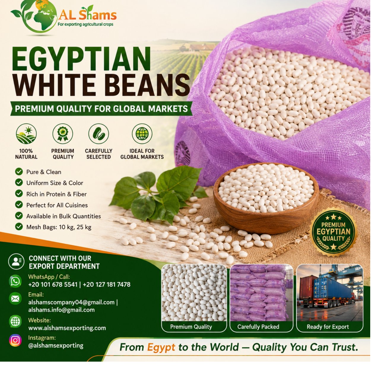 white beans 1