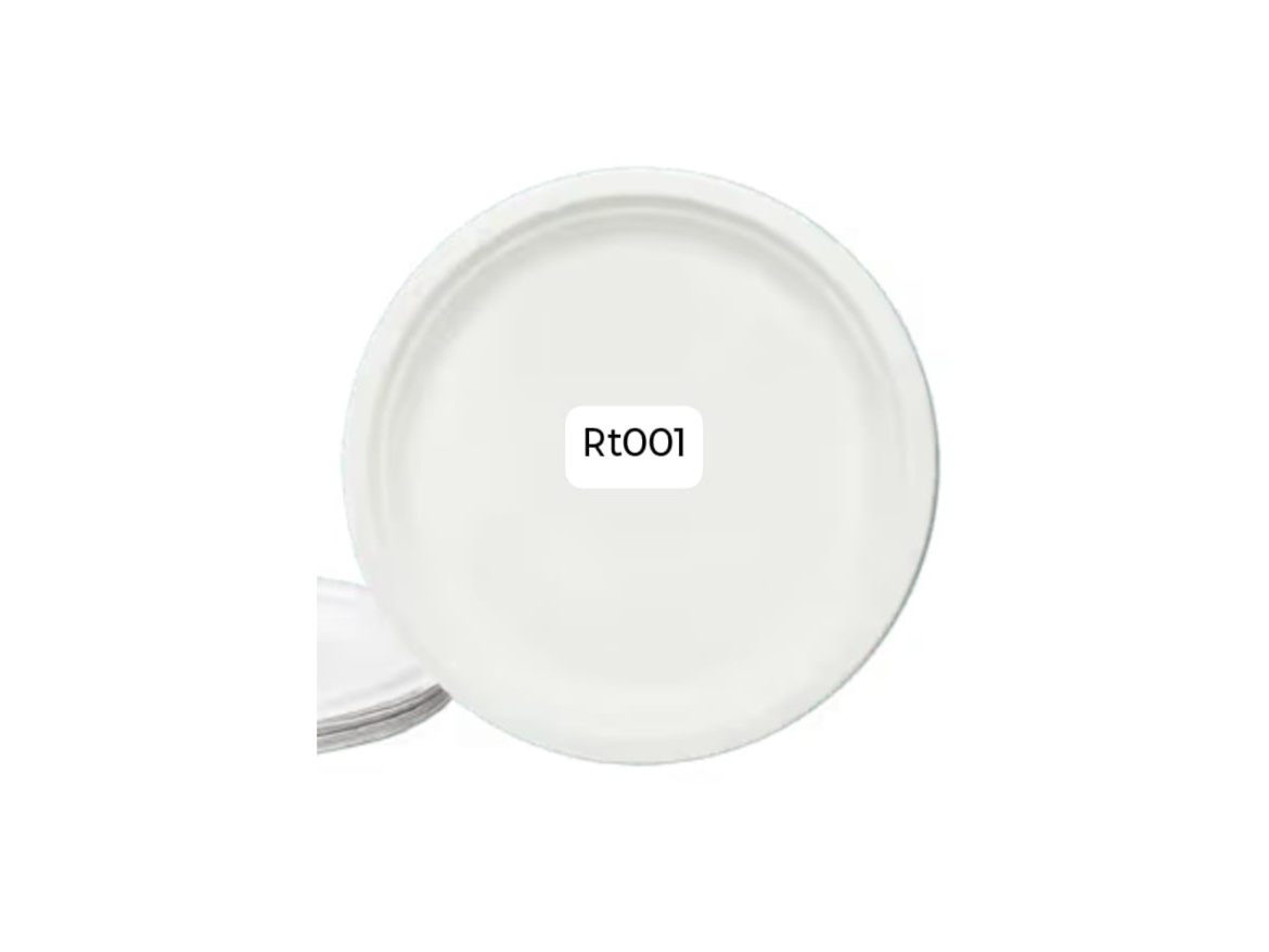 Bagasse sugarcane plates  1