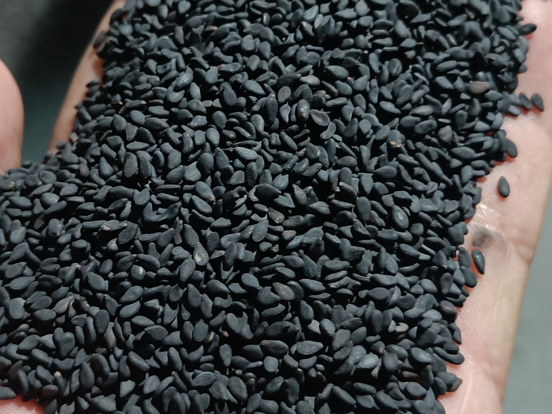 Z Black Sesame Seeds 