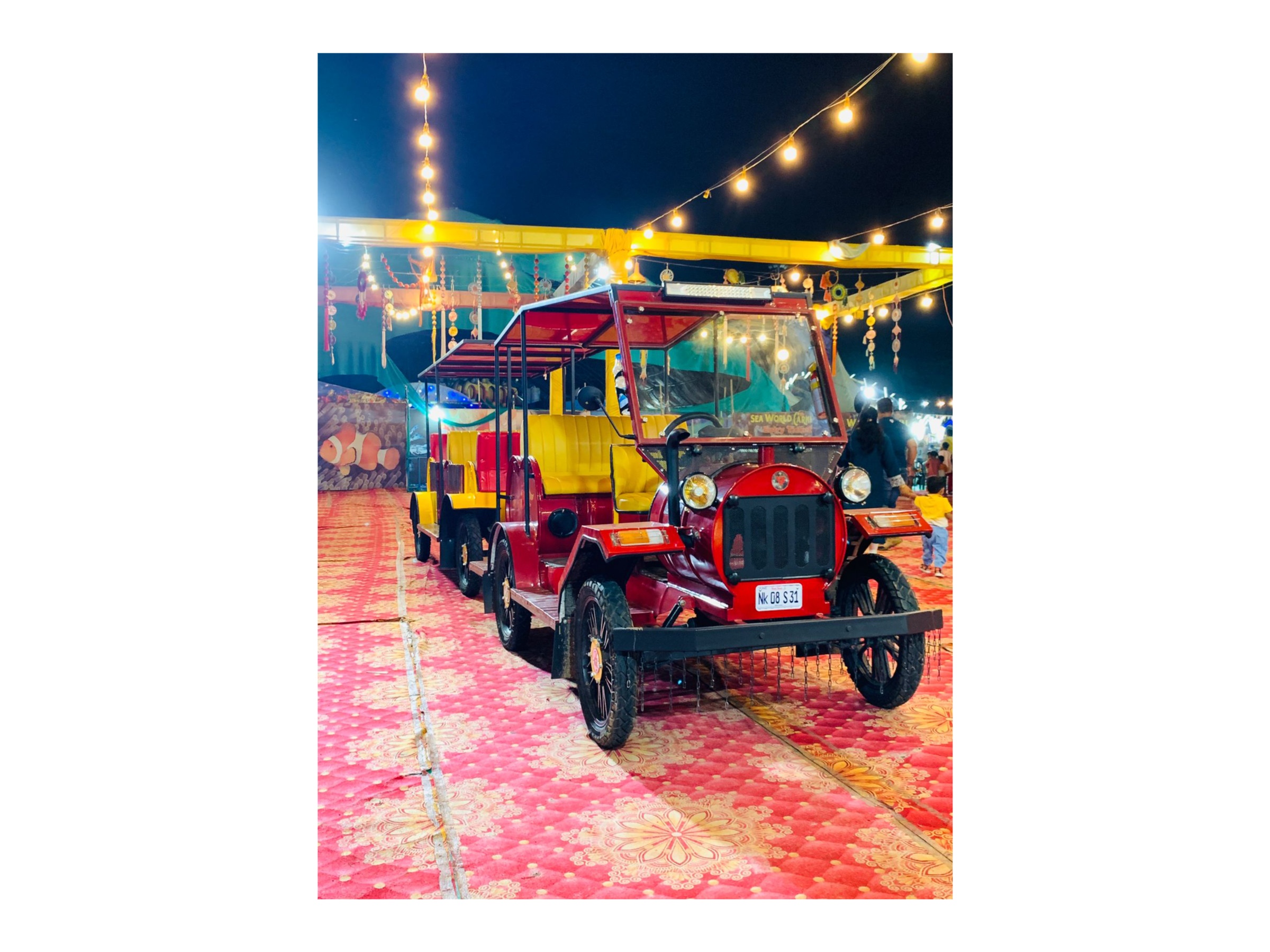 Electric vehicle in indi 1