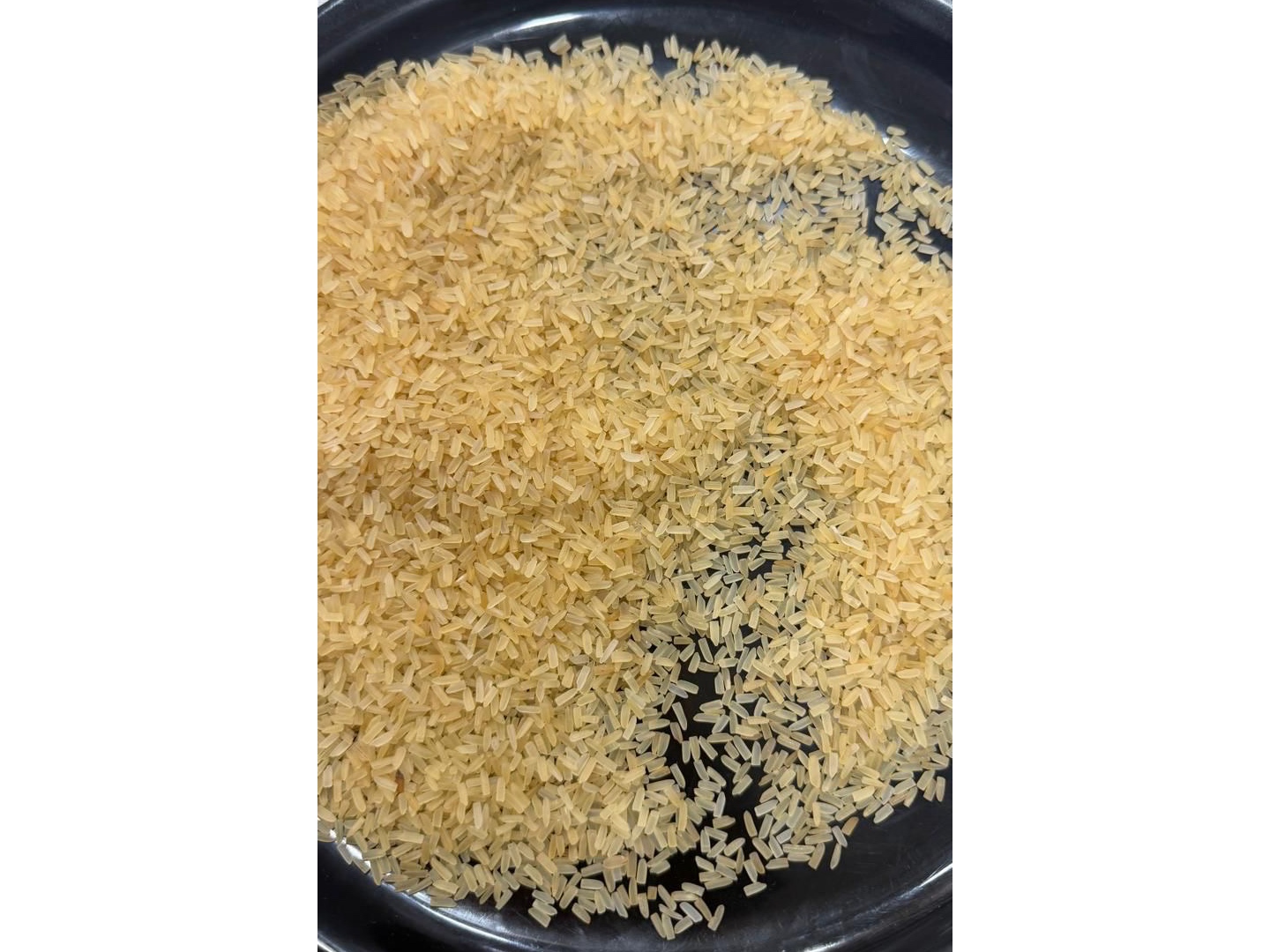 Golden Sella 1121 Rice 2