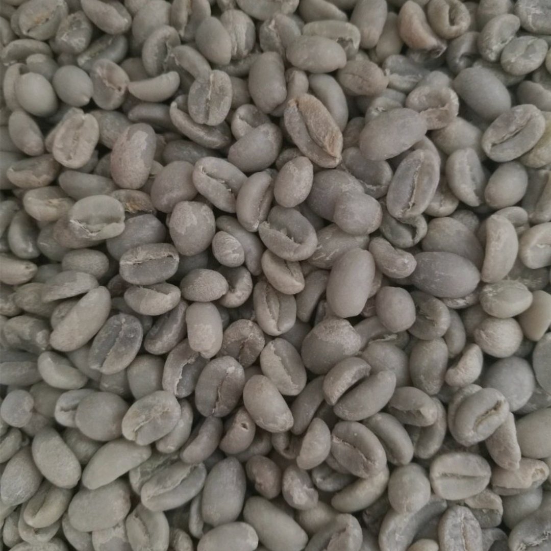 Arabica Coffee  2
