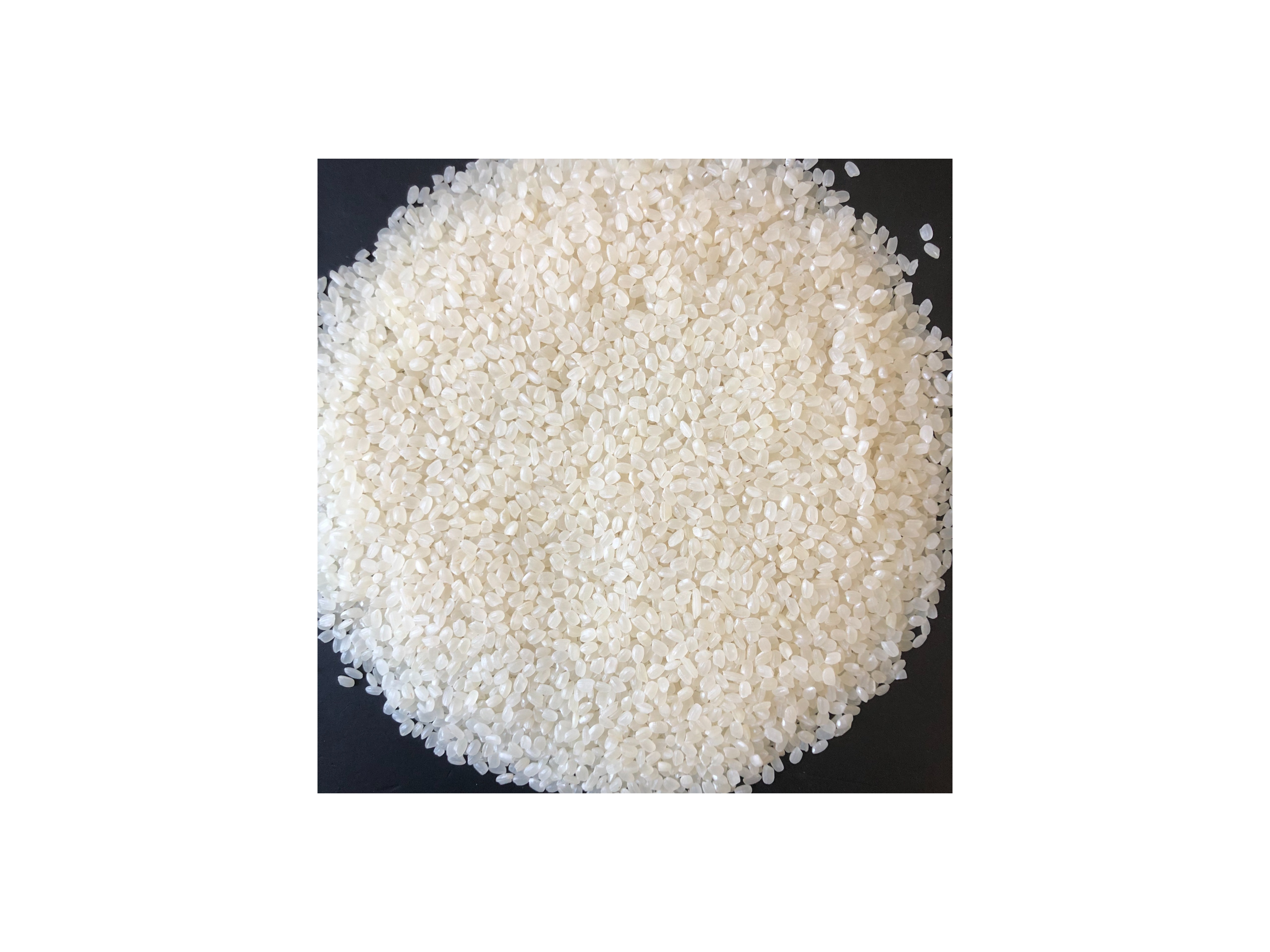 JAPONICA RICE