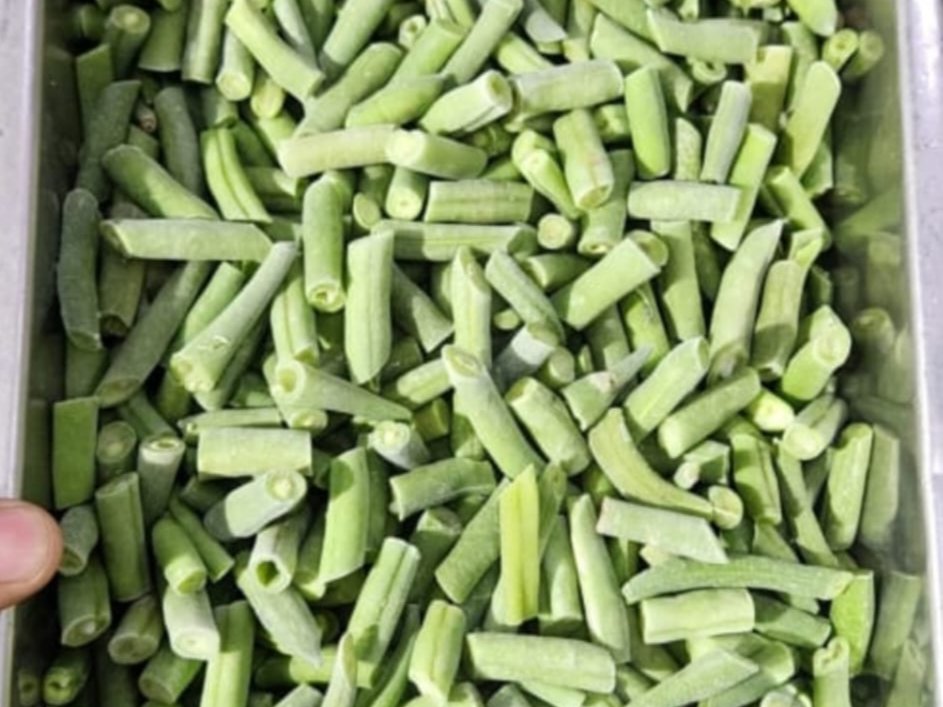 Frozen French Bean