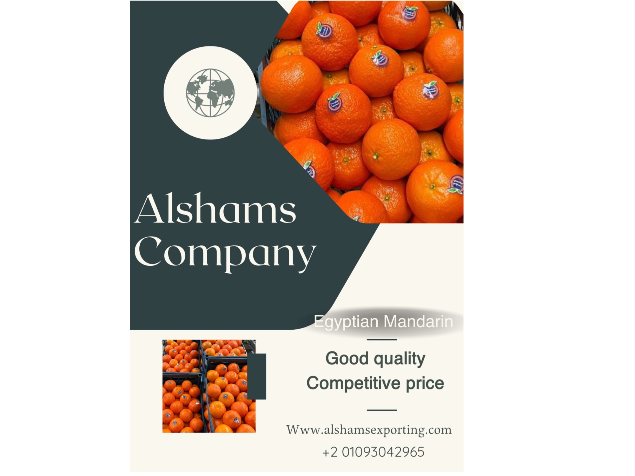 EGYPTIAN MANDARINS 1