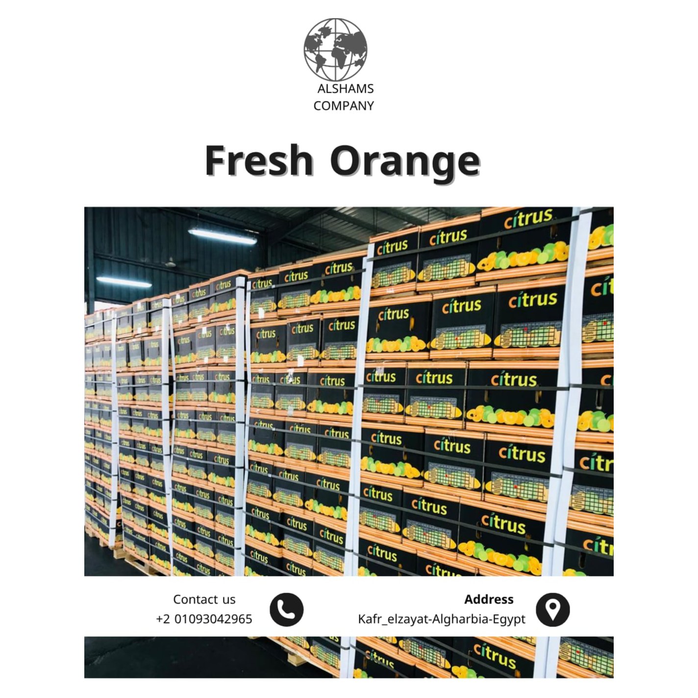 FRESH ORANGE 2