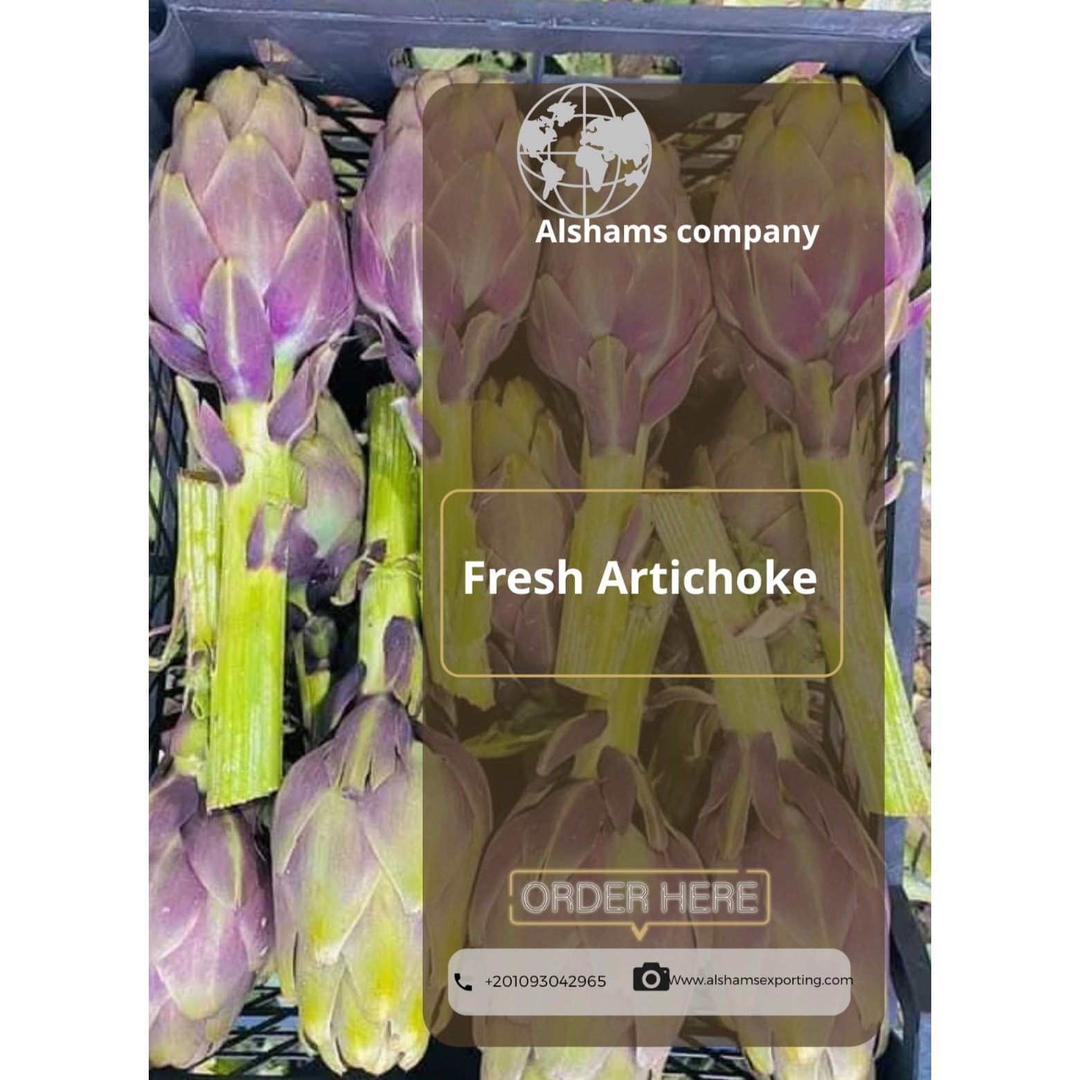 FRESH ARTICHOKE 1