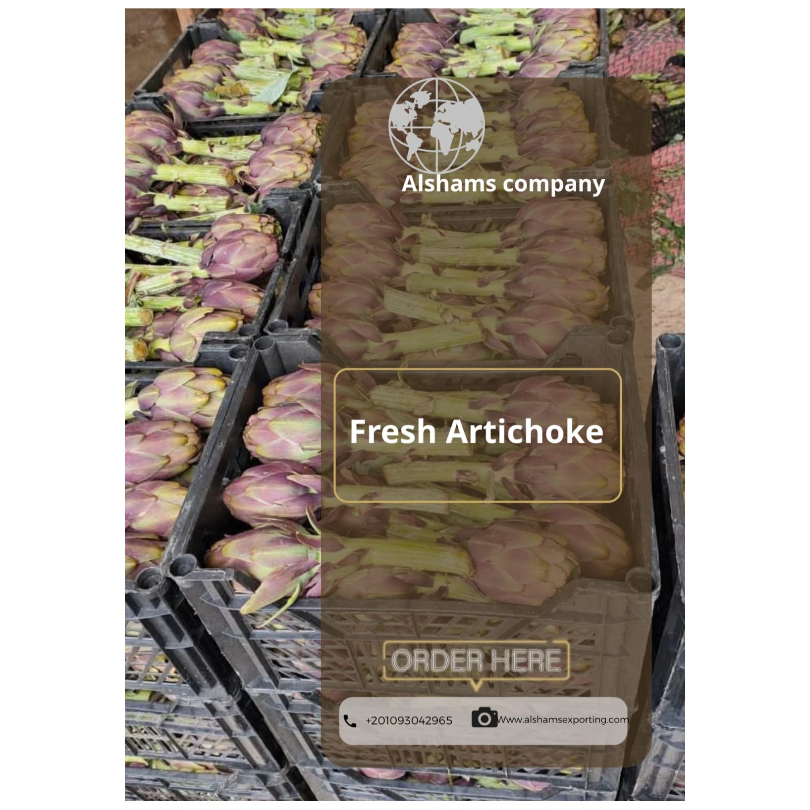 FRESH ARTICHOKE 2