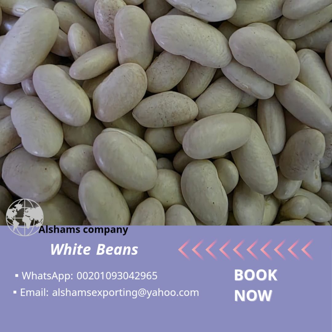 WHITE BEANS
