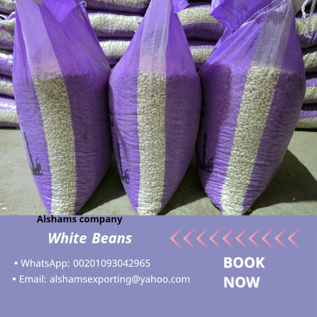 WHITE BEANS 2