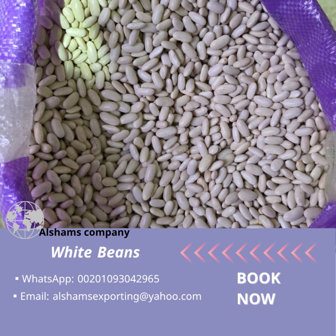 WHITE BEANS 3