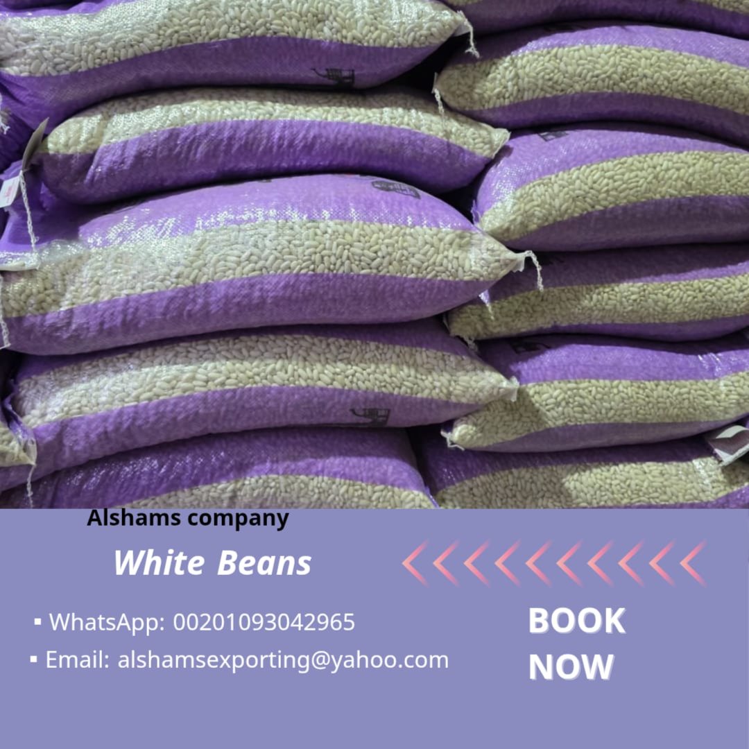 WHITE BEANS 4