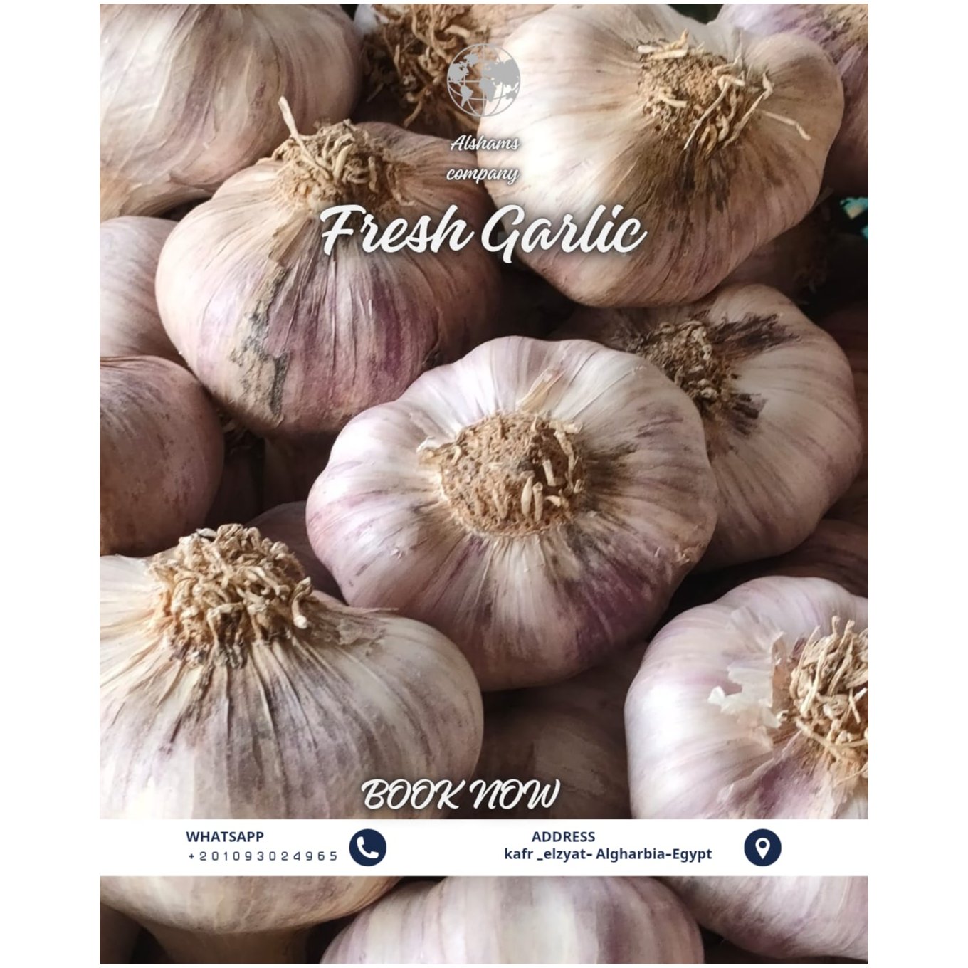 FRESH GARLIC 3