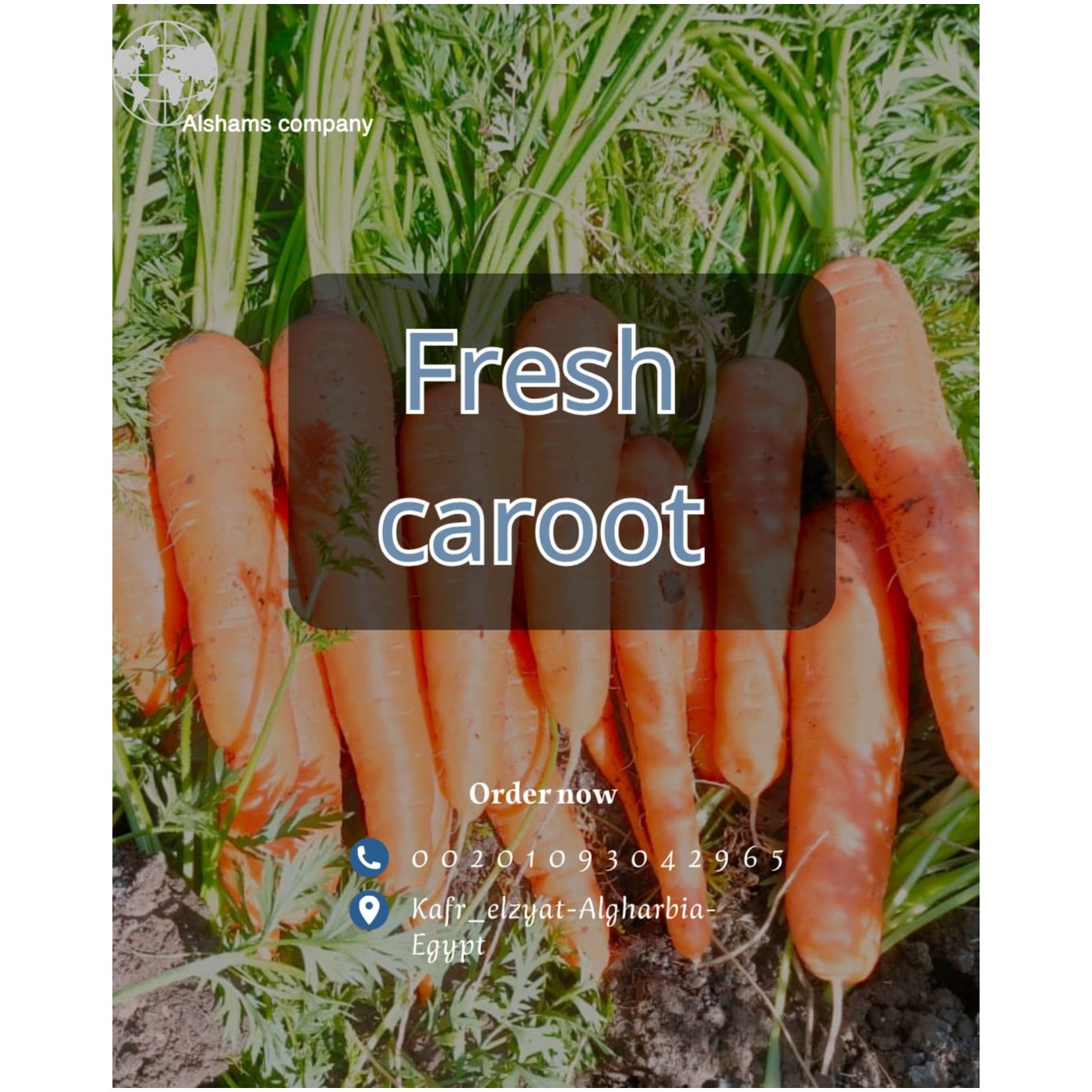 fresh carrot 1