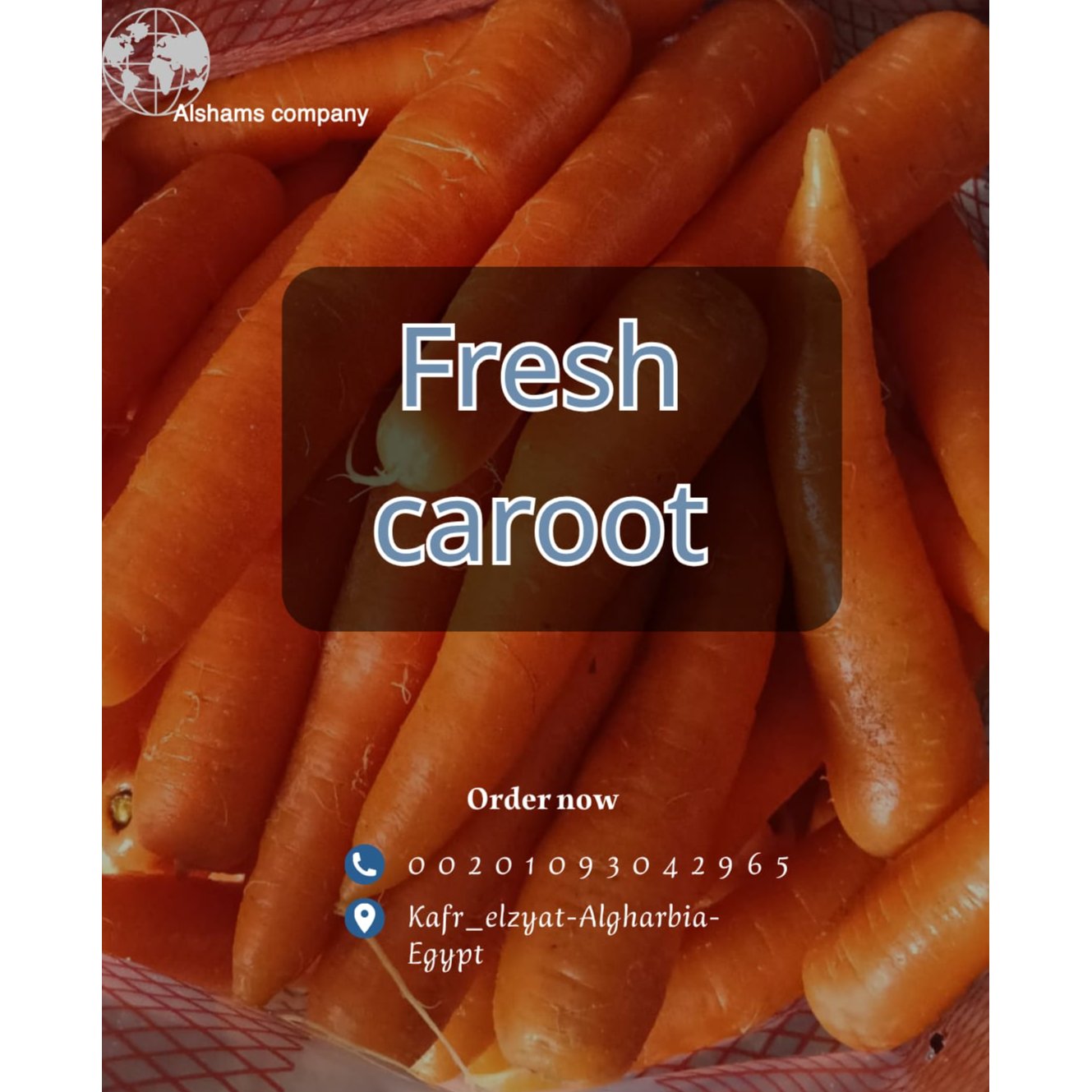 fresh carrot 2
