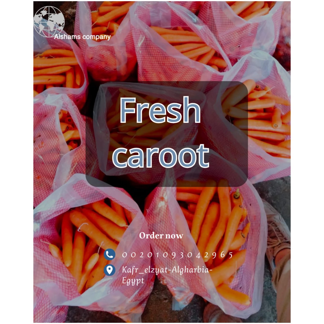 fresh carrot 3