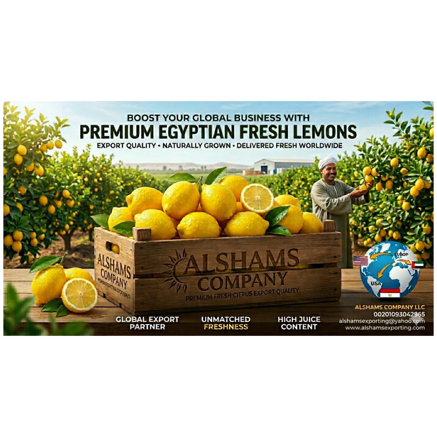 FRESH LEMON 