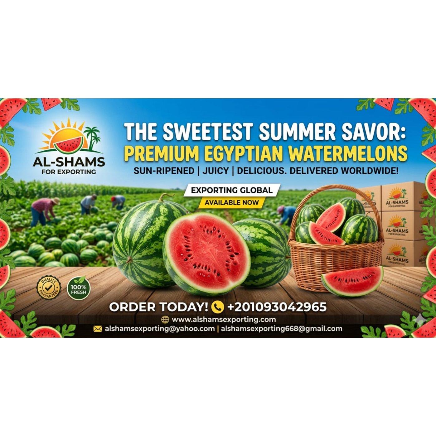 water melon  1
