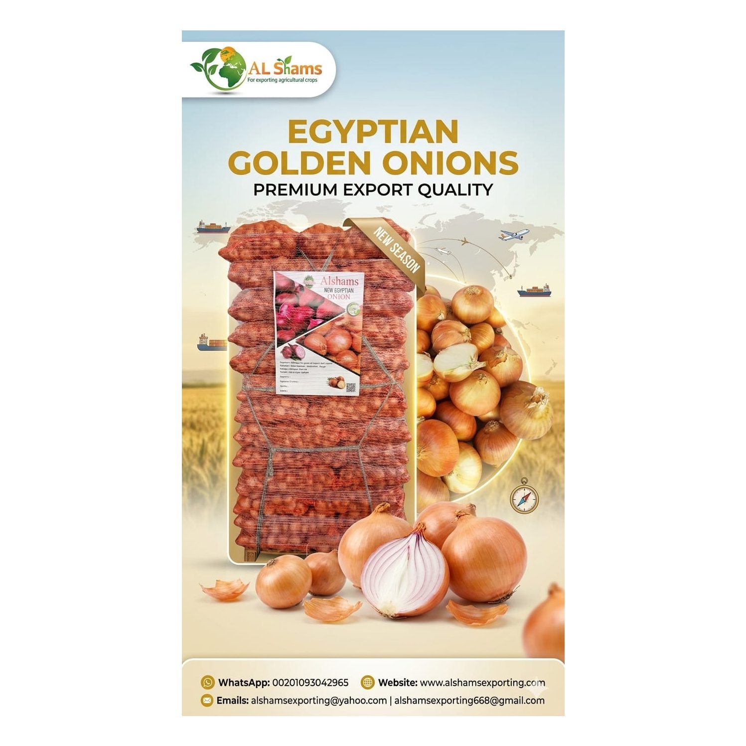 golden onion 1