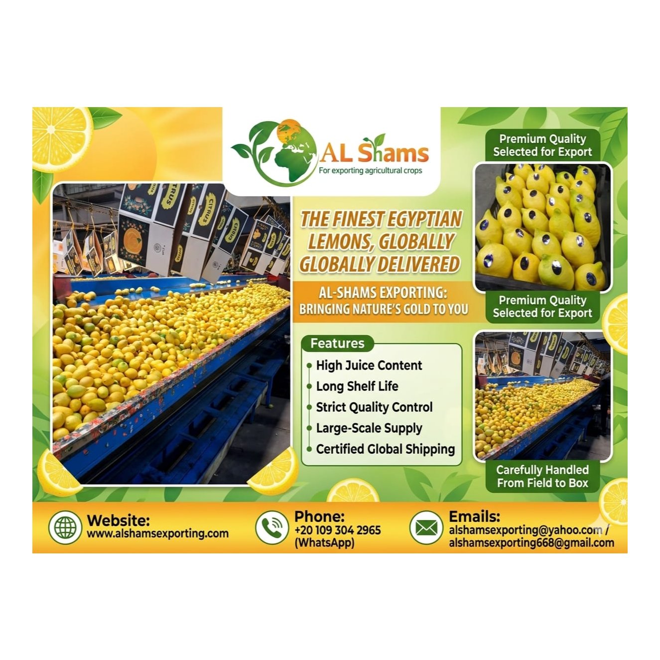 fresh lemon  1