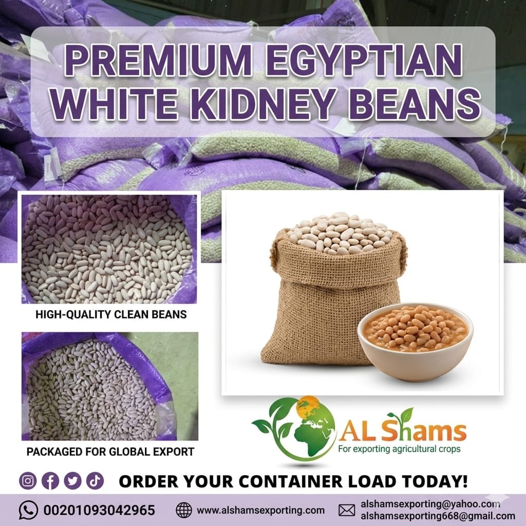 WHITE BEANS  1