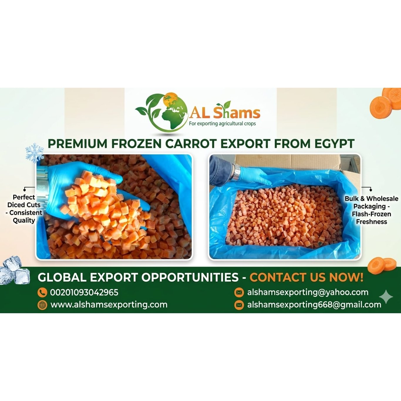 FROZEN CARROT 1