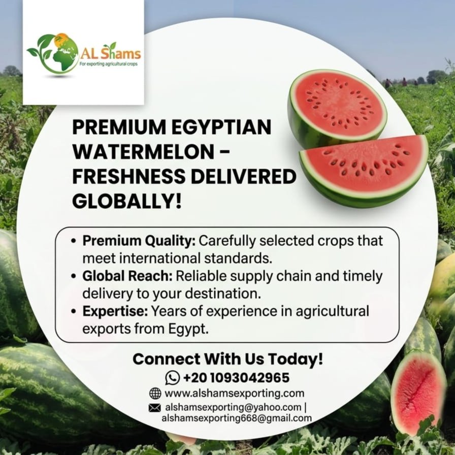 fresh watermelon 1