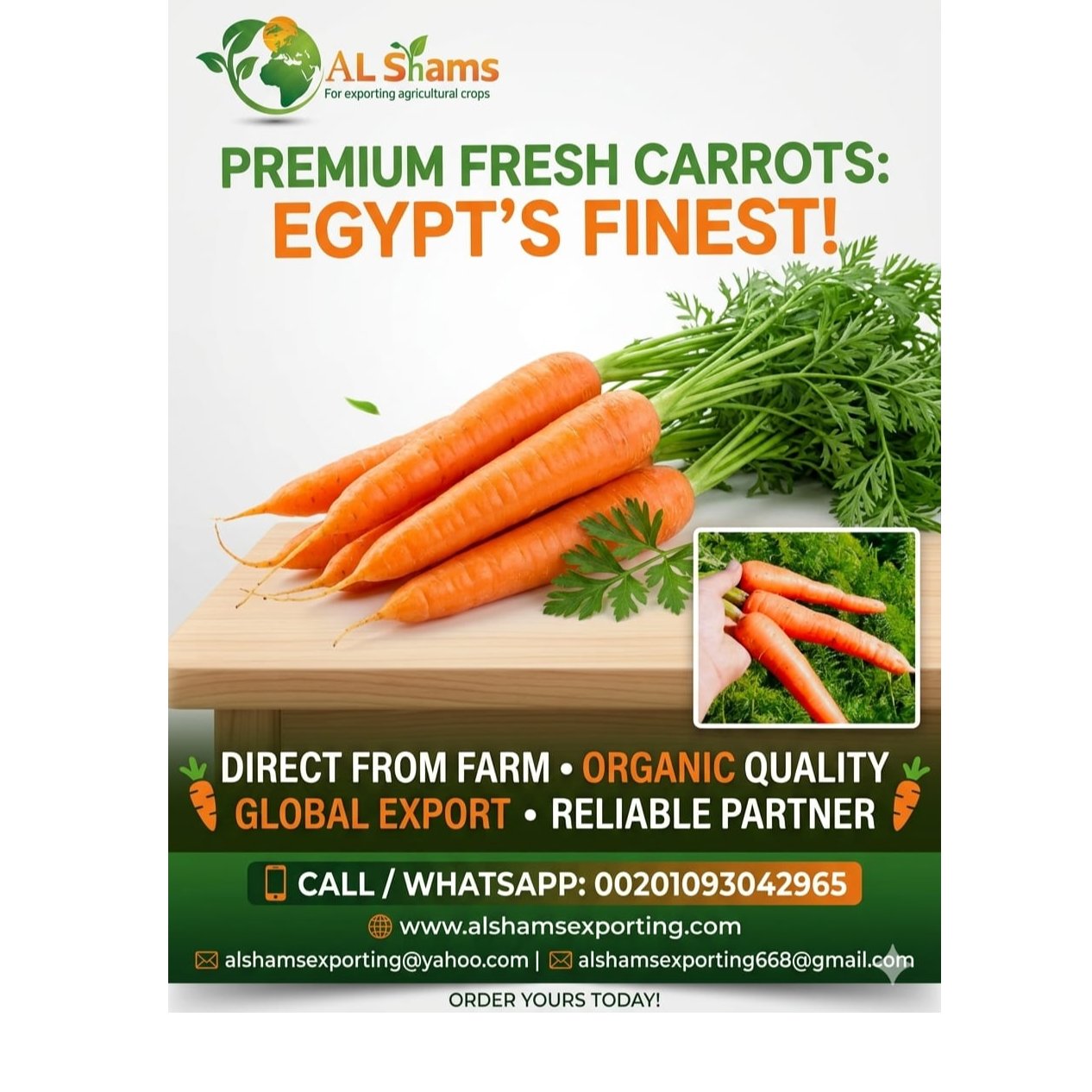 fresh carrot