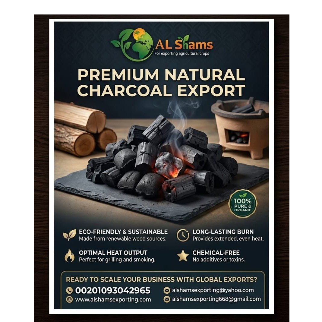 NATURAL CHARCOAL 1