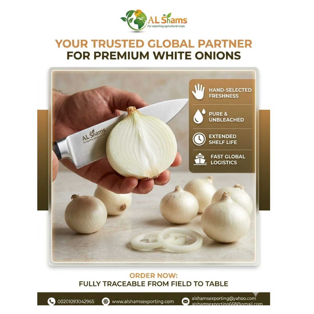 WHITE ONION