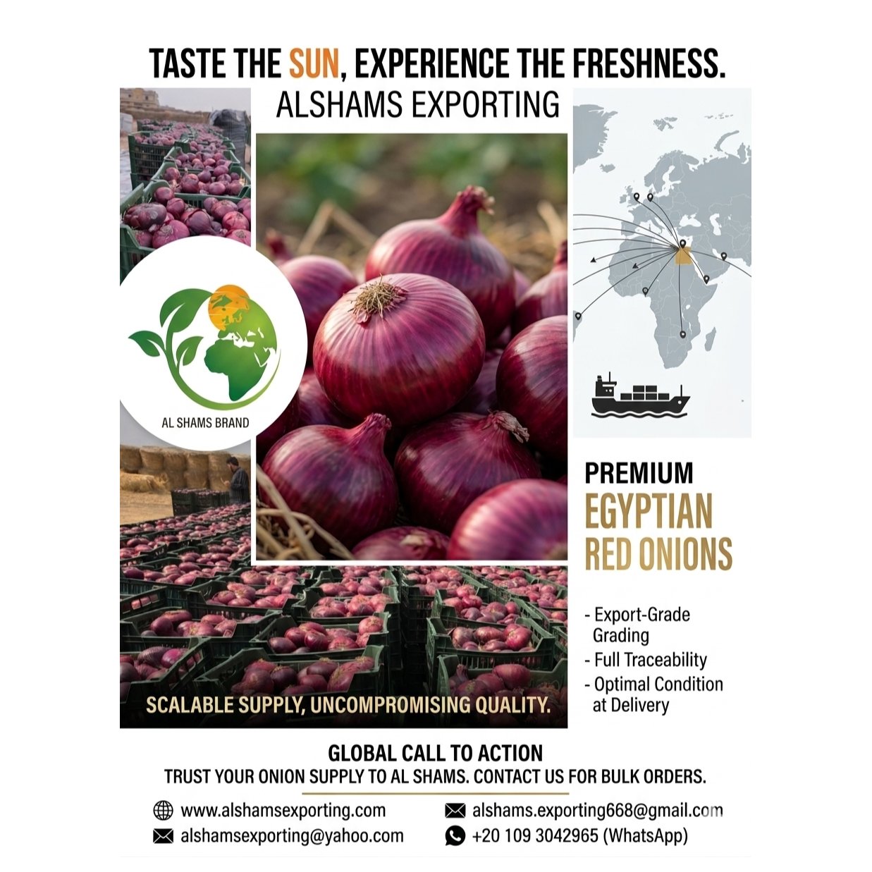 FRESH RED ONION