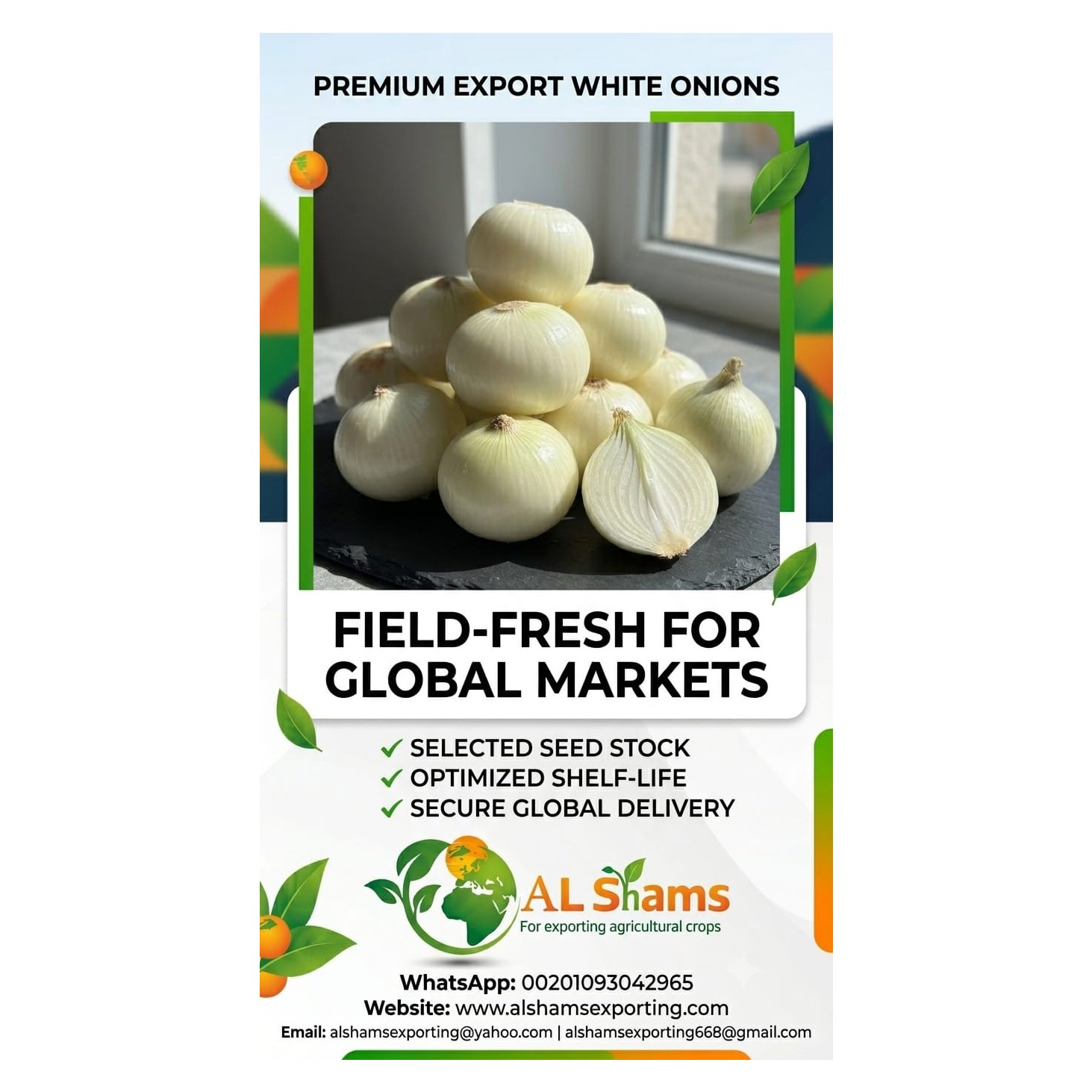 WHITE ONION  1