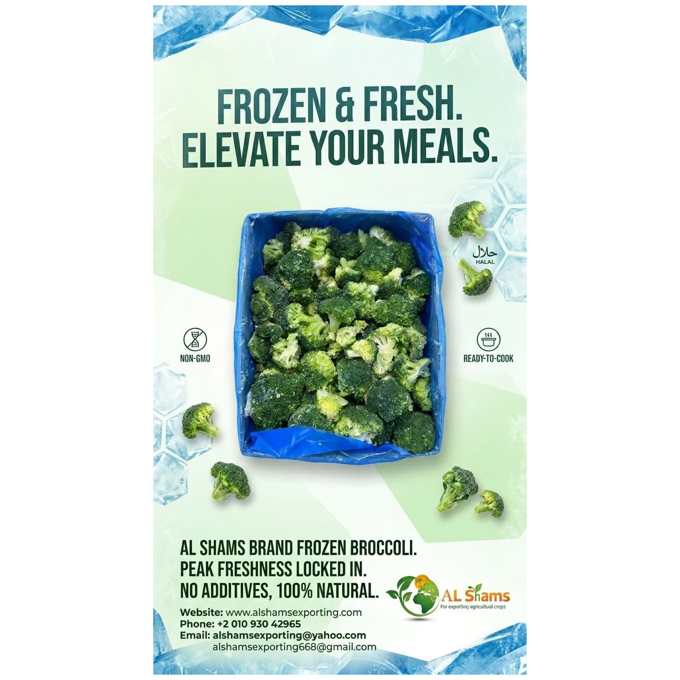 FROZEN BROCCOLI  1