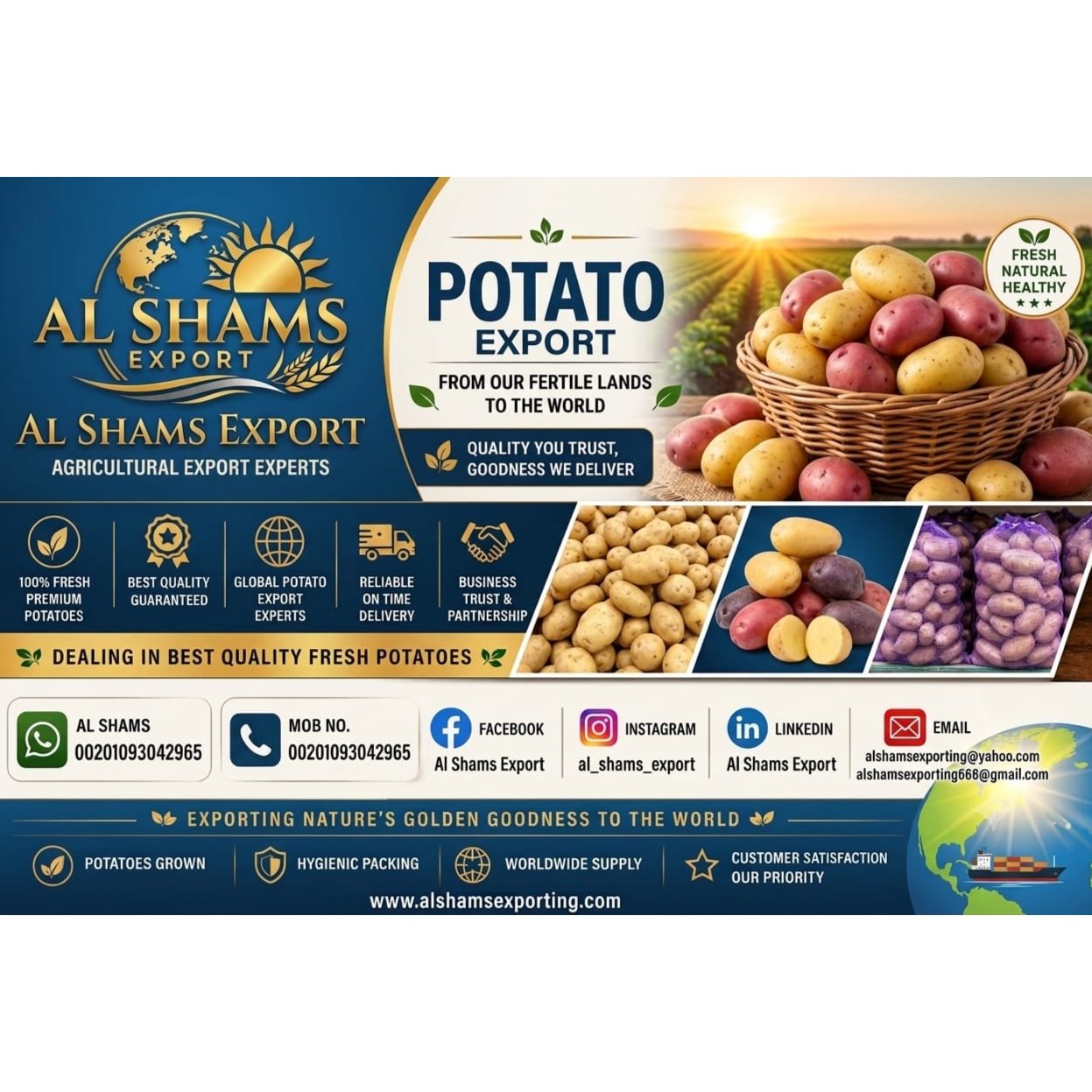 FRESH POTATO  1