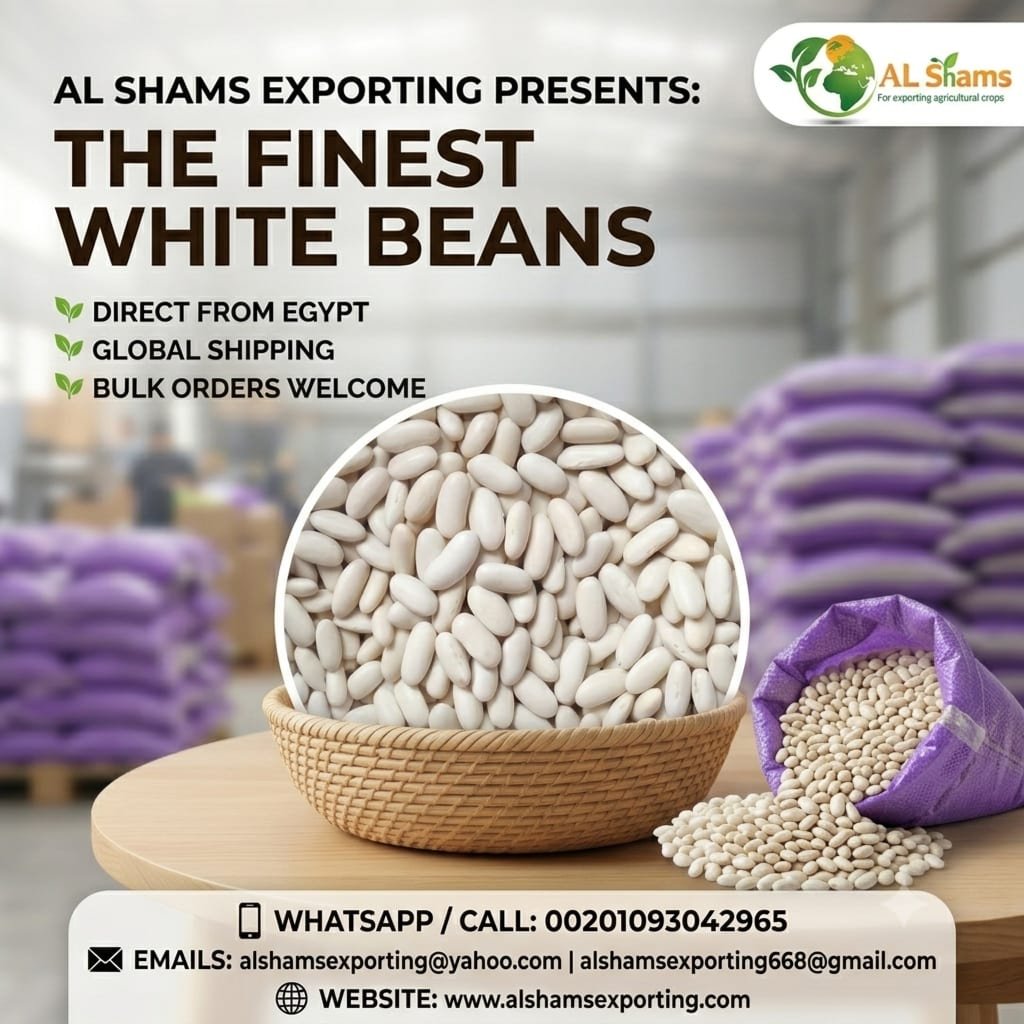 WHITE BEANS 