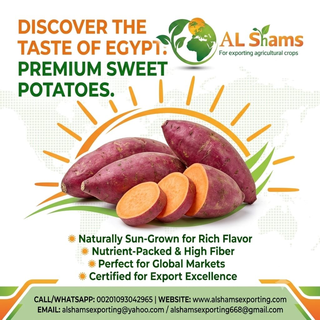 SWEET POTATO  2