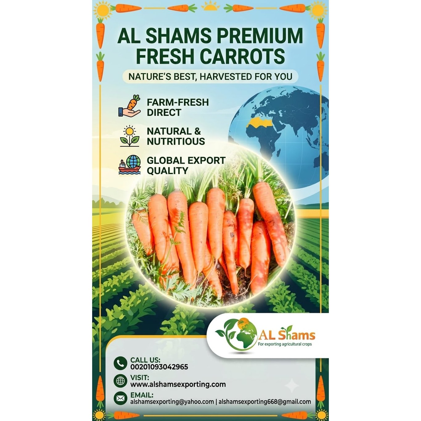 fresh carrot 